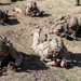 U.S. Army soldiers complete British Army Leader Development Programme
