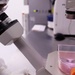 An operator checks cells for confluency in the PBF’s viral GMP production suite.