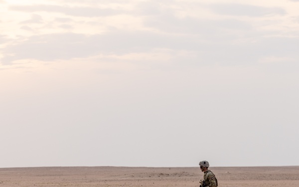 TF Sandpiper DART Exercise