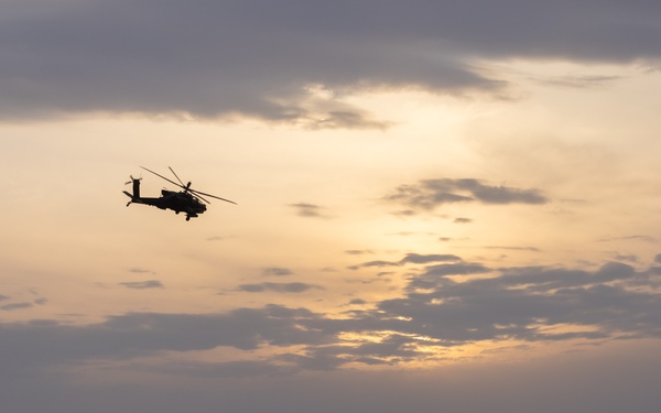 TF Sandpiper DART Exercise