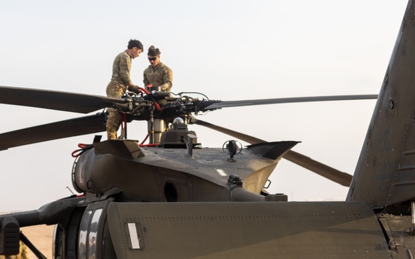 TF Sandpiper DART Exercise