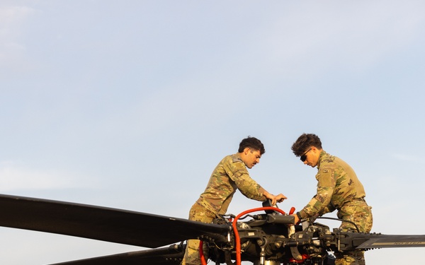 TF Sandpiper DART Exercise