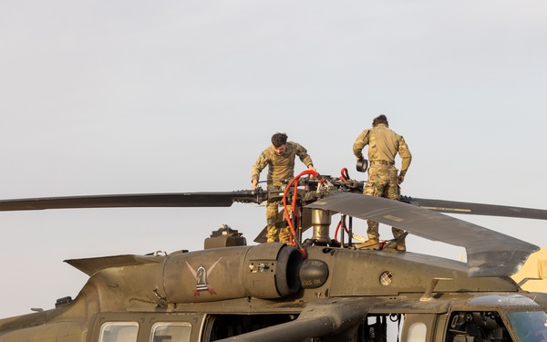 TF Sandpiper DART Exercise