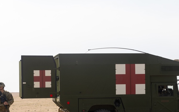 TF Sandpiper DART Exercise