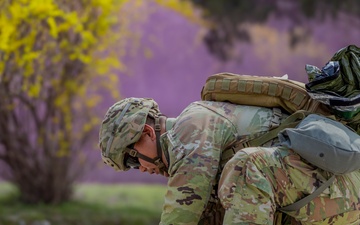 65th Medical Brigade hosts EFMB