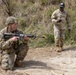 Soldiers train in the Warrior skills part of EFMB exercise