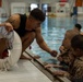 Kilo Company Water Survival Training