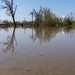 Louisville District responds to historic midwest flooding