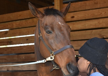 ‘Hey, I’m here for you’ Healing Connection for Wounded Soldier