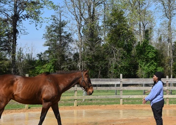 ‘Hey, I’m here for you’ Healing Connection for Wounded Soldier