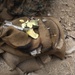 EOD Technicians from across the Corps advance their craft at the EOD Advanced Training Center