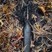 Chemical ordnance in your neighborhood? Call CARA