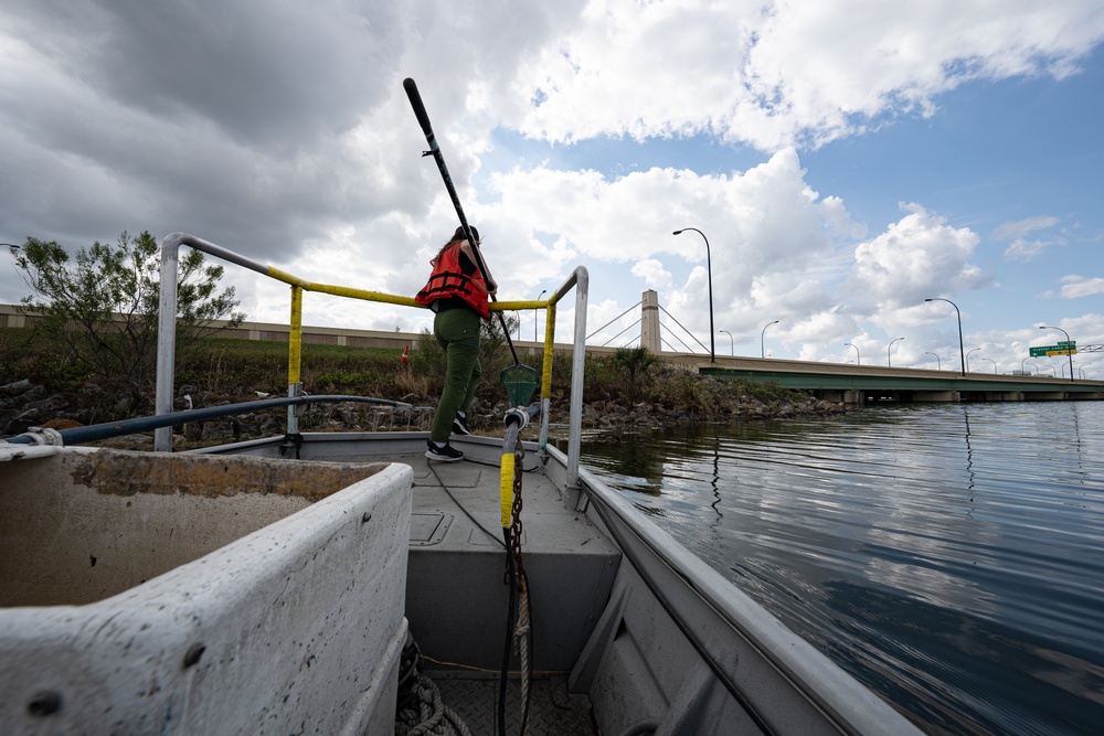 The Evasive Invasive Swamp Eel