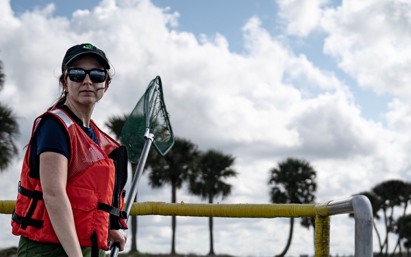 The Evasive Invasive Swamp Eel