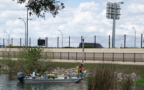 The Evasive Invasive Swamp Eel