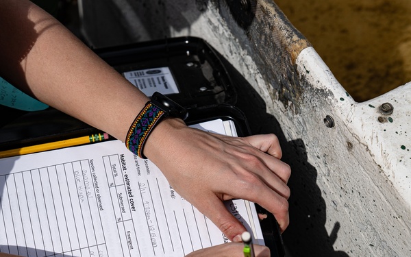 The Evasive Invasive Swamp Eel