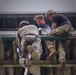 101st Airborne Division (Air Assault) 2025 Best Ranger Competitors
