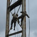 101st Airborne Division (Air Assault) 2025 Best Ranger Competitors