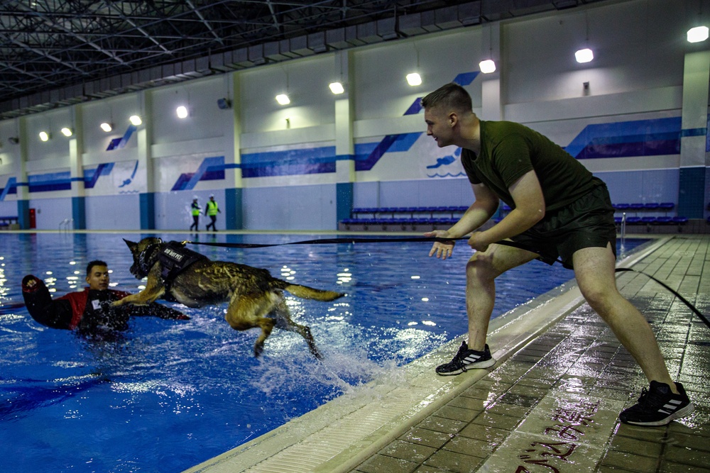 U.S. Marines conduct K9 water aggression and confidence training at MCAS Iwakuni