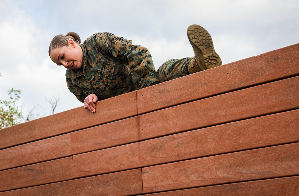 U.S. Marines With Security Battalion Participate in Obstacle Course PT