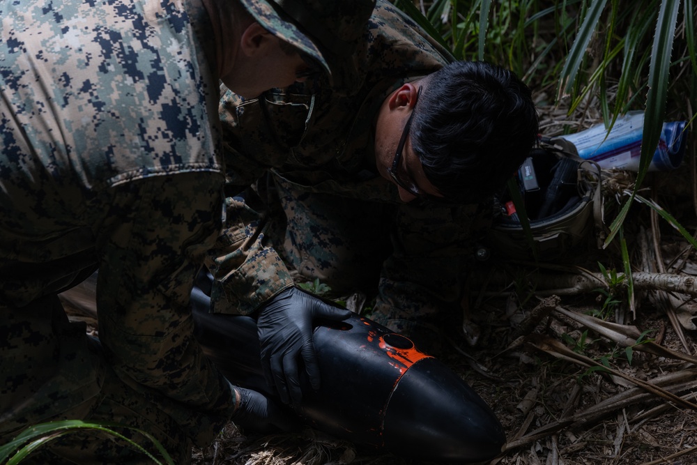 III MIG | CID Investigates Notional UUV During Kaiju Rain