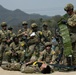 Soldiers Train To Get Their Expert Field Medical Badge