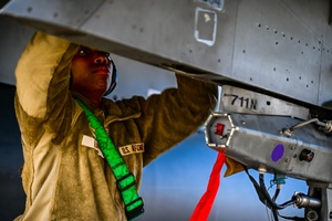 AFN Radio News : The 510 FGS rules during exercise Bio Buzzard.