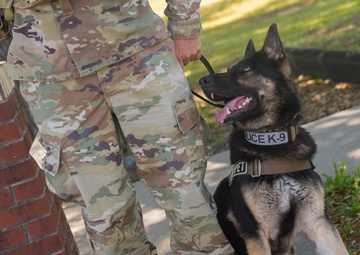 Robins’ military working dogs, Warner Robins Police team up to protect community