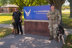 Air Force Radio News 10 July 2019