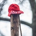 Installation leadership participates in Bedford Liberty Pole Capping