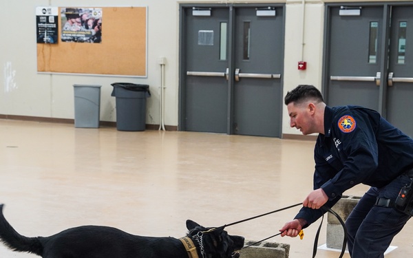 Fort Hamilton Hosts Multi-Agency K-9 Training Event