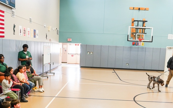 Fort Hamilton Hosts Multi-Agency K-9 Training Event