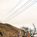 Wildfire damage near a California National Guard Traffic Control Point