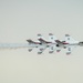 Wings Over West Texas: Day 1