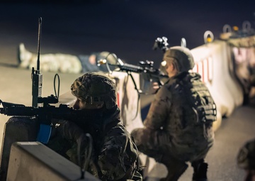 Training in the dark; Agile Bison 25-1 tests night readiness