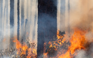 Fort Stewart and NASA ignite new possibilities through prescribed burn study