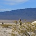 926th Security Forces Squadron and 926th Explosive Ordnance Launches Readiness Exercise to Sharpen Combat Capabilities and Rapid Response
