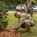 Branching Out for a Greener Tomorrow