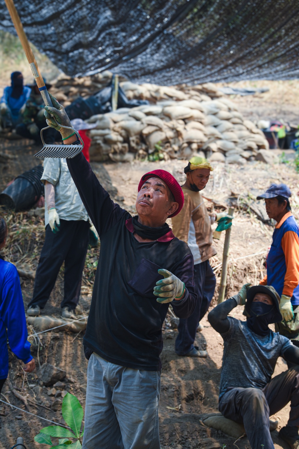 DPAA conducts Recovery Operations in Thailand