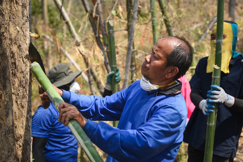 DPAA conducts Recovery Operations in Thailand
