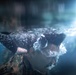 Sink or Swim: U.S. Marines with MWSS-171 swim in preparation for egress training.