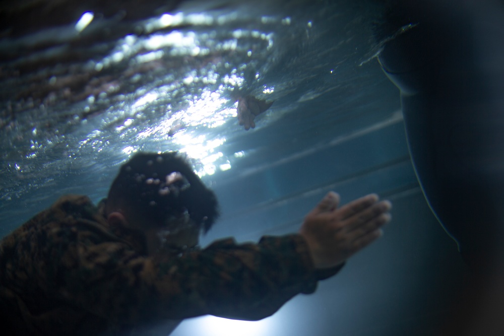 Sink or Swim: U.S. Marines with MWSS-171 swim in preparation for egress training.