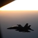 U.S. EA-18 Growlers conduct operations in the Red Sea