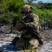 22nd ATF participates in Silver Flag