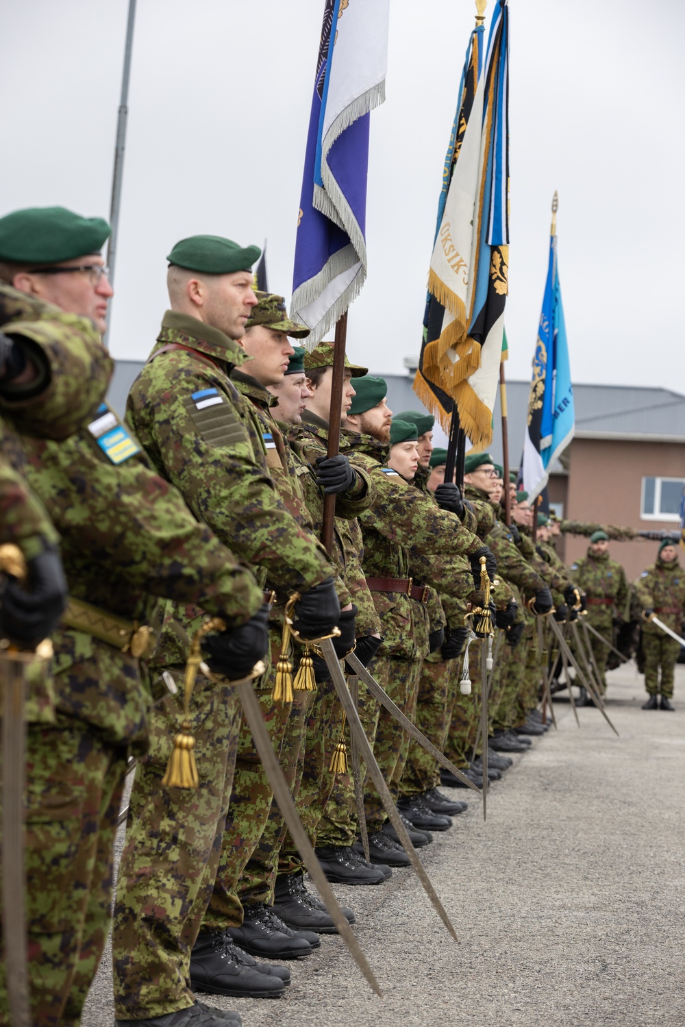 U.S. Army and Allies Participate in Estonia's Veteran Day Ceremony