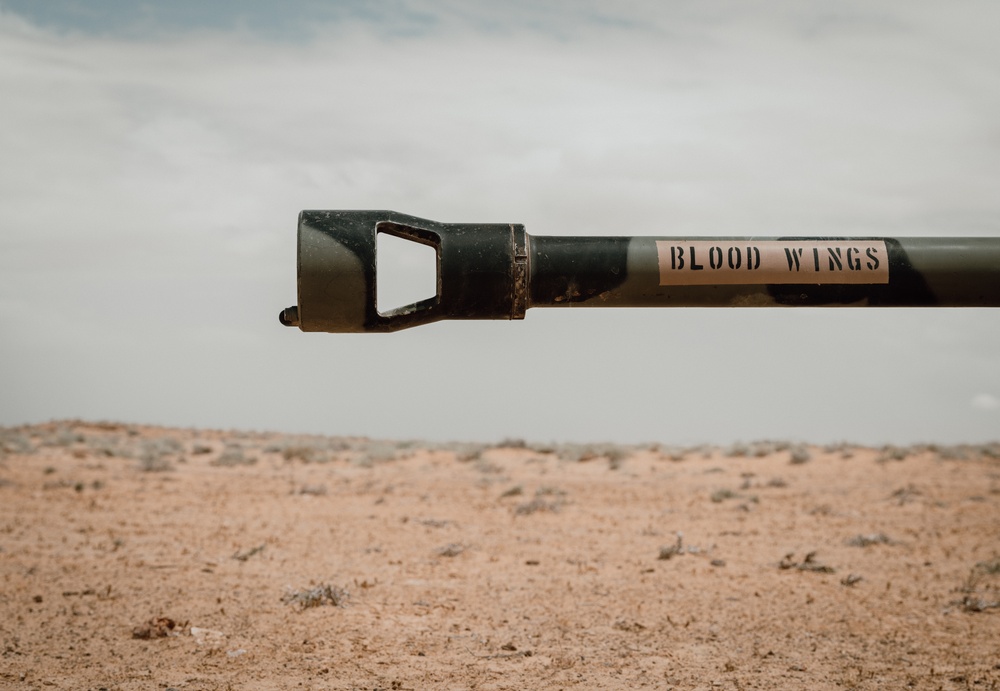 Artillery Sky Soldiers conduct training in Tunisia