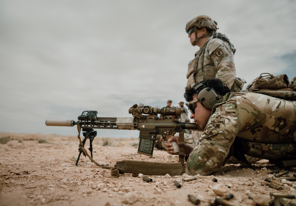 173rd paratroopers fire squad-designated marksman rifles in Tunisia