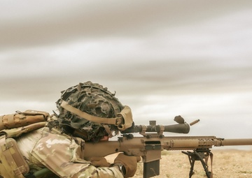 173rd Airborne Brigade trains with US, Tunisian sniper rifles