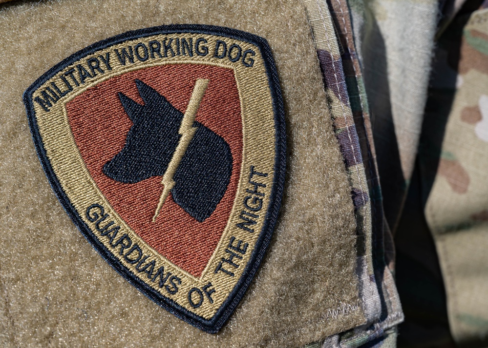 Paws on patrol: 5SFS military working dogs train for mission success