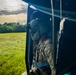 908th OG conducts local familiarization and proficiency sorties